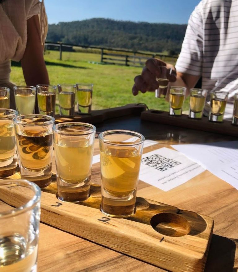 tasting photo 1 768x878