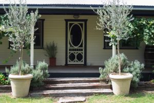 Adamae accommodation hunter valley Front 300x201