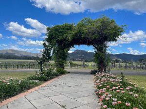 Nighitnglae Wines cellar door entrance 2048x1536 1 300x225