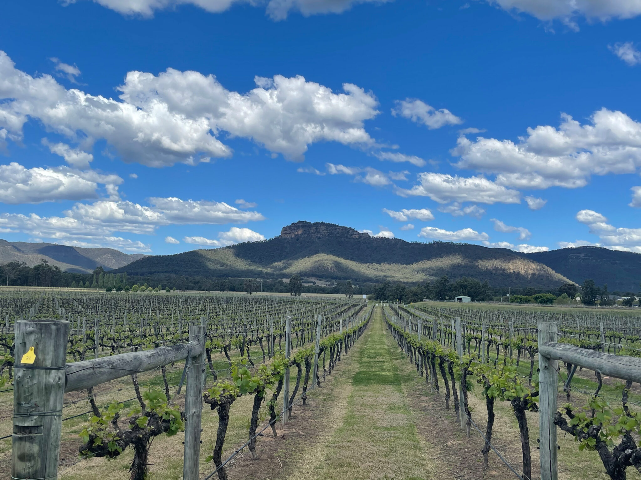 Nightingale Wines vineyard view 2 2048x1536 1