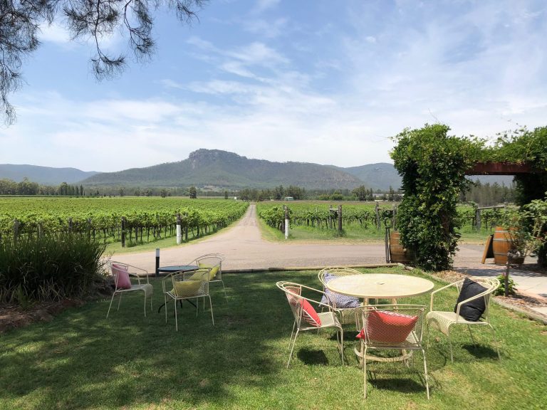 Nightingale Wines Hero image 768x576