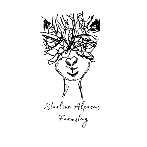 White BG w name
